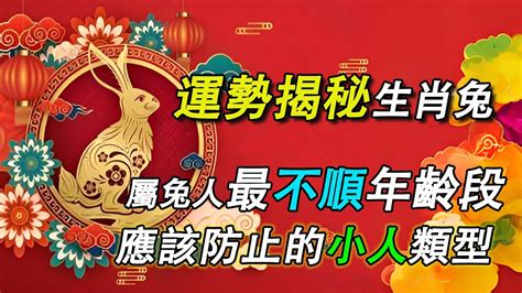 生肖兔幸運色|2024屬兔旺運秘訣：紫色、銀色助你財運亨通 